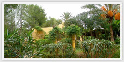 Villa Tanamera view