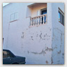 T004 photos