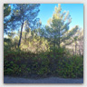 T004 photos