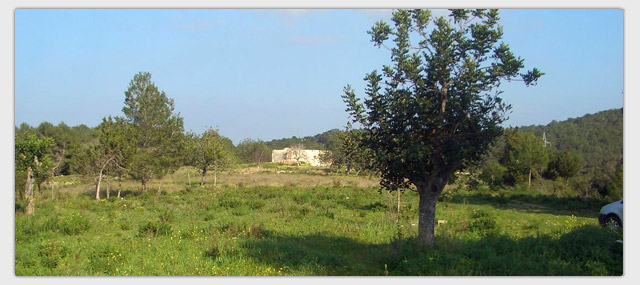 property T010