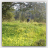 T010 photos