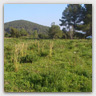 T010 photos