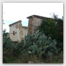 T011 photos