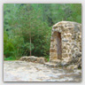 T011 photos