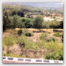 T013 photos