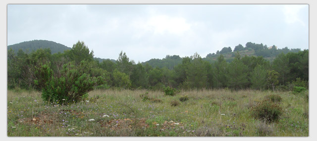 property T014