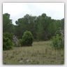 T014 photos