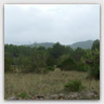 T014 photos