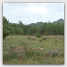 T014 photos
