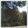 T016 photos