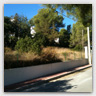 T016 photos