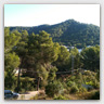 T016 photos