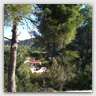 T016 photos