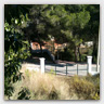 T016 photos