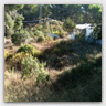 T016 photos