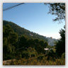 T016 photos