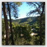T016 photos