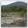 T017 photos