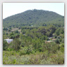 T017 photos