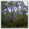 T018 photos